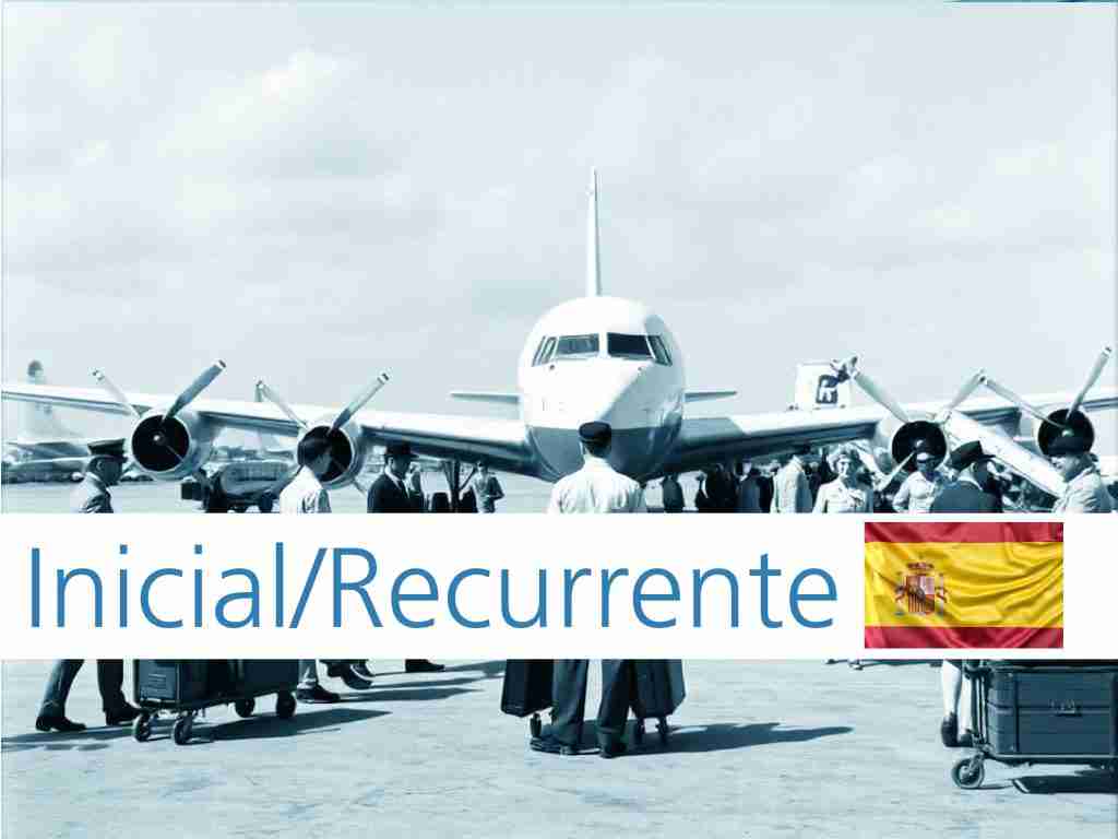 AVSAF Pedestrians AVSAF-P airport workers